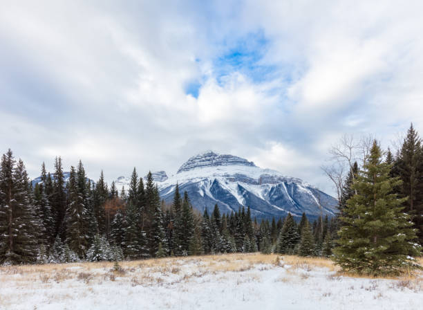 istock Meadow and Mountain Range in Winter at Banff National Park, Alberta Canada 898270944