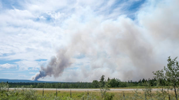 istock Wild Fire in the Rocky Mountains 898271056