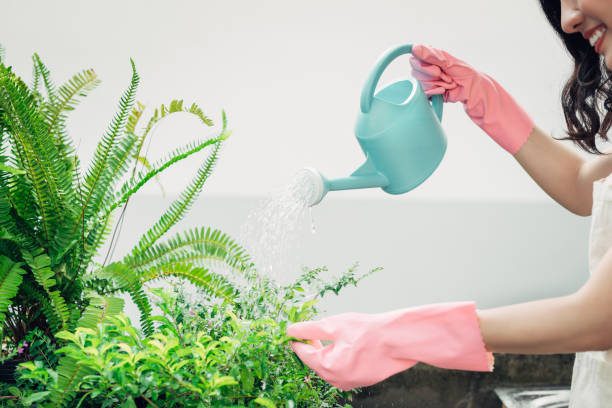 istock Young asian female gardener using mobile phone while watering the plants 898279208