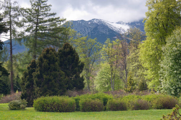 istock View of the High Tatras mountains. 898279708