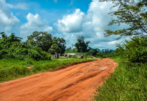 camino de tierra fangosa en liberia. camino en la selva - rain monsoon rainforest storm fotografías e imágenes de stock