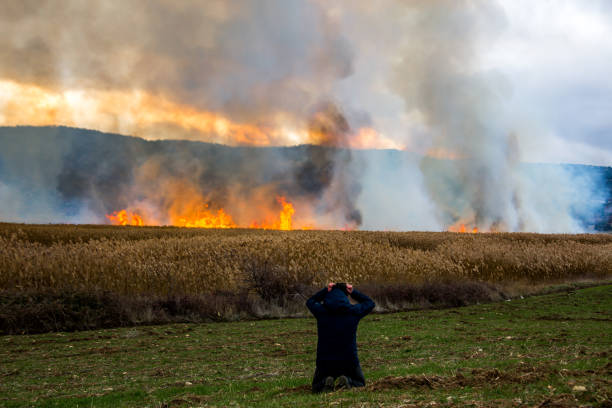 istock Fire at the edge of the mountain 898287428