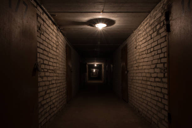 Dark long corridor in a basement with metal doors