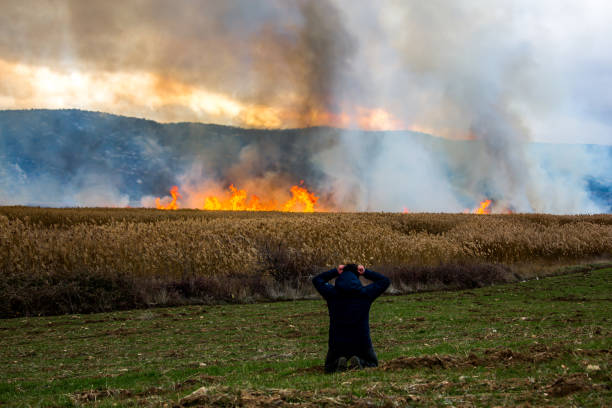 istock Fire at the edge of the mountain 898287592