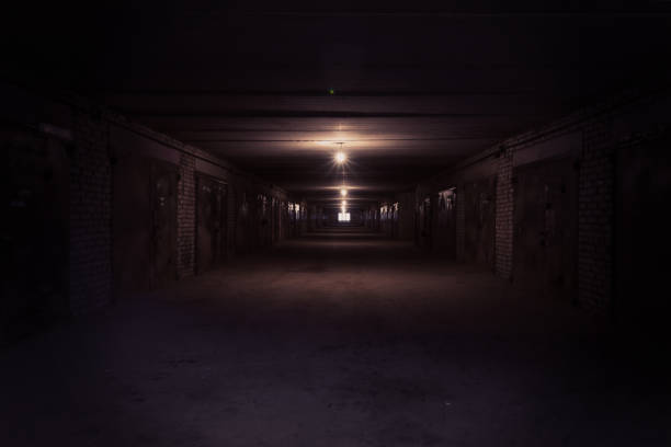 istock Dark long corridor with metal gates and working bulbs 898287604