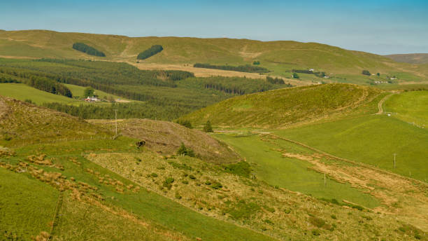 istock Peaceful welsh landscape near Cwmystwyth, UK 898289738