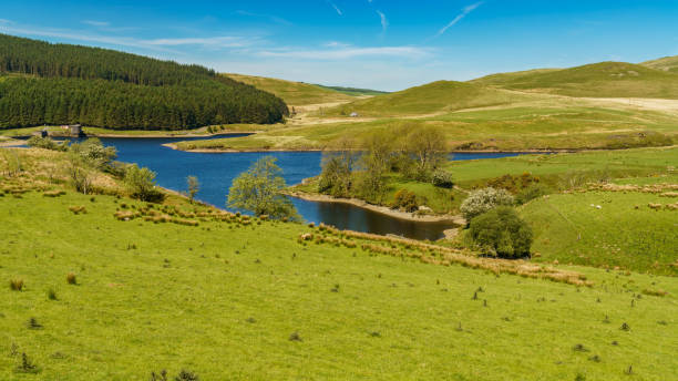 istock Dinas Reservoir, Ceredigion, Wales, UK 898289754
