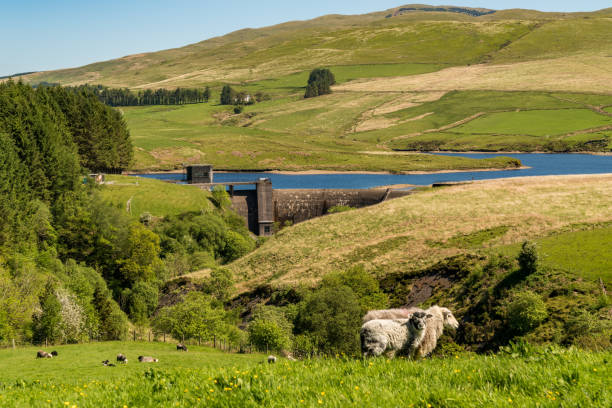 istock Dinas Reservoir, Ceredigion, Wales, UK 898289768