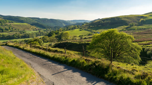 istock Country road in Wales 898289774