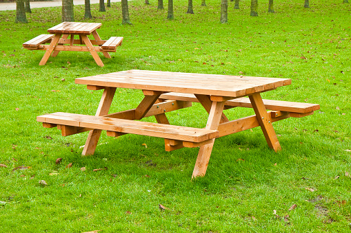 Two wooden picnic table on a green meadow with trees on background