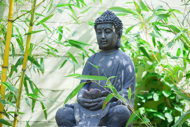 Buddha statue install a middle of bamboo plant. stock photo