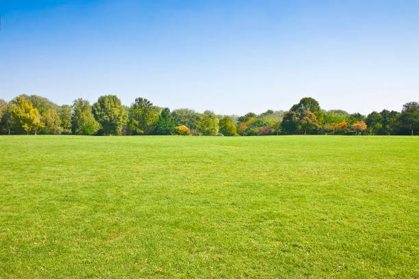 istock Beautiful green mowed lawn with trees and sky on background - image with copy space 898298262