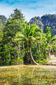natur-der-insel-von-thailand.jpg?b=1&s=170x170&k=20&c=Wp9F-n1iDCIEWRcWWjc9-aCcACpD05GPgUFF77c7PNg=