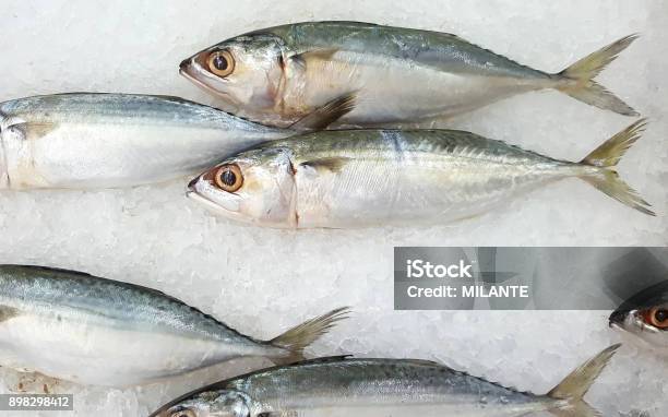 Advertise Business Food Concept Close Up Of Fresh Mackerels On Ice In The Supermarket Stock Photo - Download Image Now