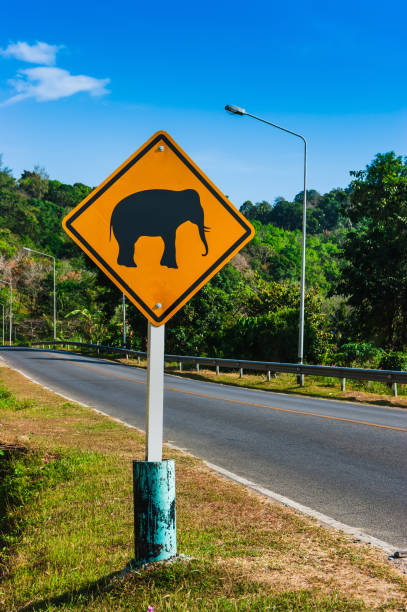 istock Road sign 