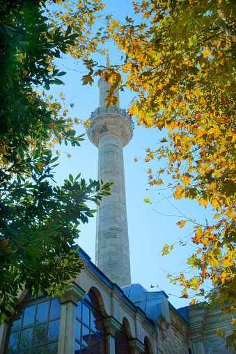 minaret of the mosque against the background of the leaves of the trees