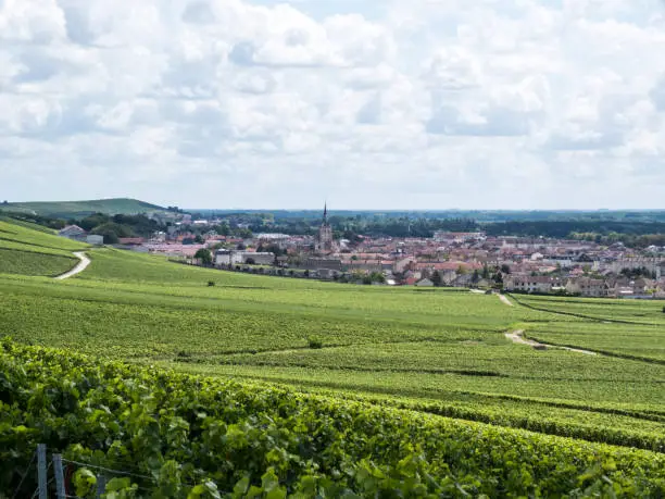 Ay, Champagne, France. Hills covered with vineyards in the wine region of Champagne, France.