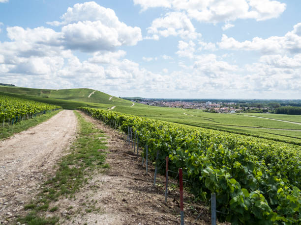 istock Ay, Champagne, France. 898310422