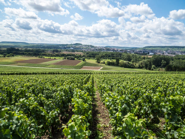 istock Ay, Champagne, France. 898310502