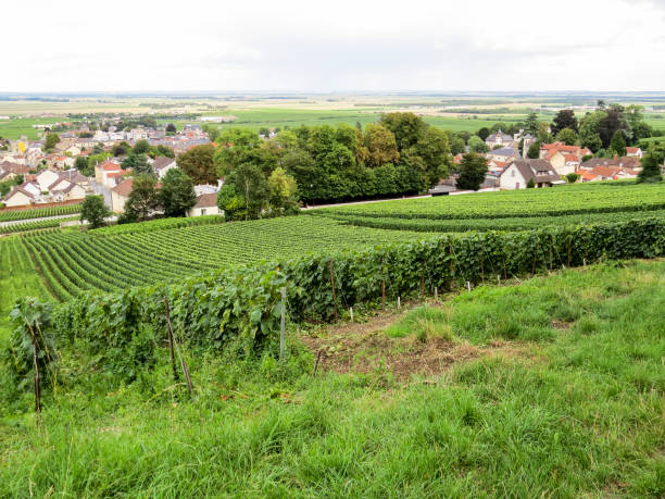 istock Epernay, Champagne, France. 898310854