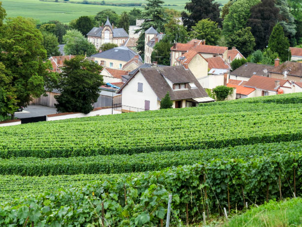 istock Epernay, Champagne, France. 898310938