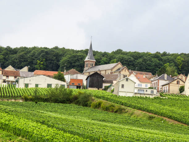 istock Epernay, Champagne, France. 898311016