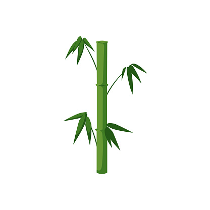 Vector Flat Cartoon Bamboo Stem With Leaves Icon Stock Illustration -  Download Image Now - Bamboo - Material, Cartoon, Stick - Plant Part - iStock