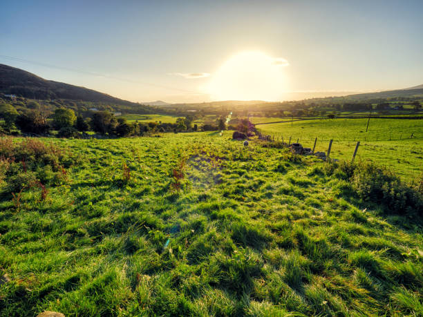 istock Scenic View Of Field Against Sky During Sunset 898314896