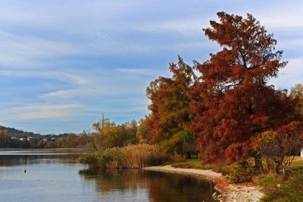 istock Autumn on the lake 898314916