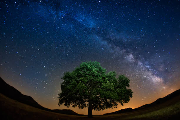 istock Milky way above a lonely tree in a starry night 898319390