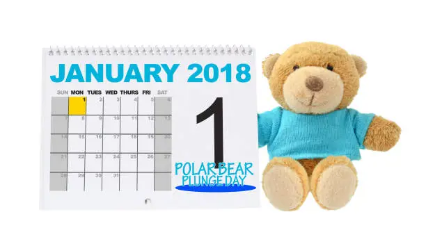 Polar Bear Plunge Day January 2018 Calendar Teddy Bear white background