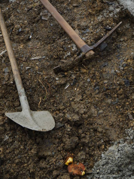 istock shovels in the sand 898321068