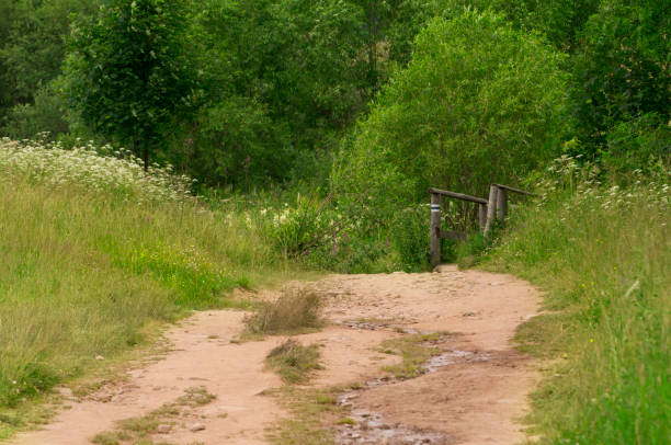 istock road in the mountains 898328772