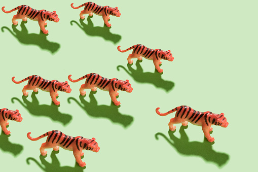 Tiger  toys with shadow on green background
