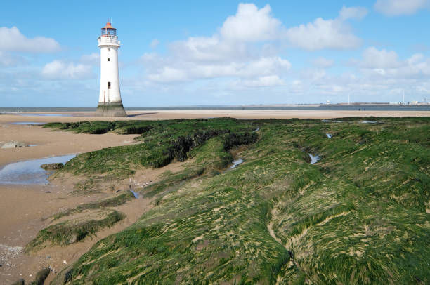 flußbarsch rock lighthouse - perch rock lighthouse stock-fotos und bilder