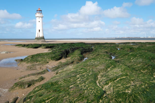 faro di perch rock - perch rock lighthouse foto e immagini stock