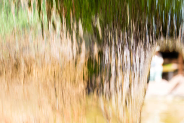 Wall from water falls on nature as background .