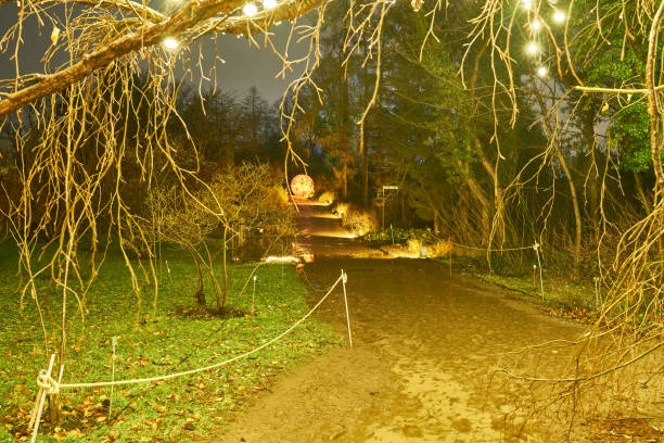 istock Christmas Garden - Botanical Garden Berlin 898342314