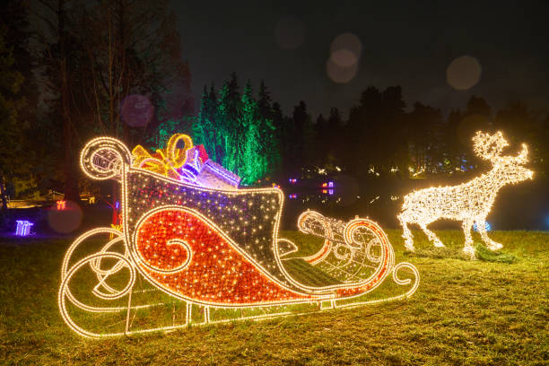 istock Christmas Garden - Botanical Garden Berlin 898342376