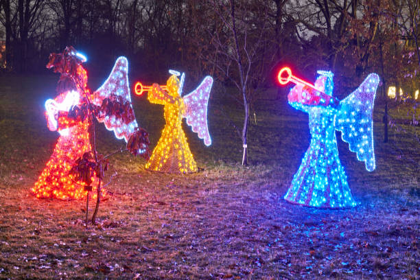 istock Christmas Garden - Botanical Garden Berlin 898342380