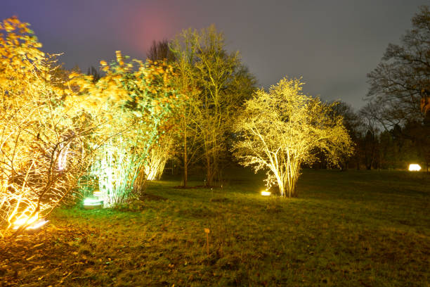 istock Christmas Garden - Botanical Garden Berlin 898342390