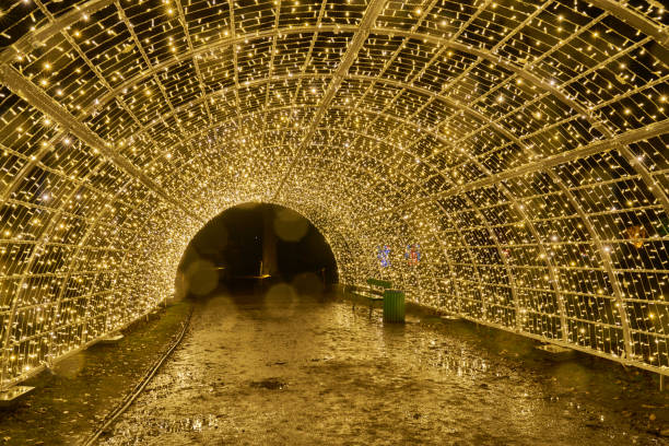 istock Christmas Garden - Botanical Garden Berlin 898342474