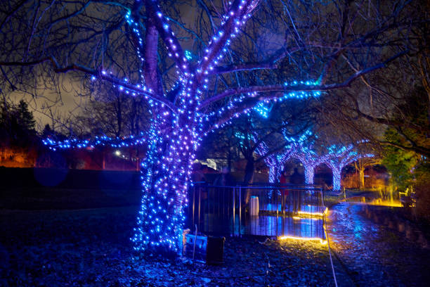 istock Christmas Garden - Botanical Garden Berlin 898342486