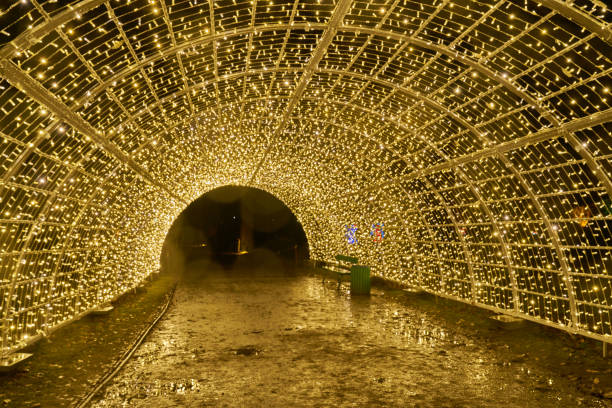 istock Christmas Garden - Botanical Garden Berlin 898342604