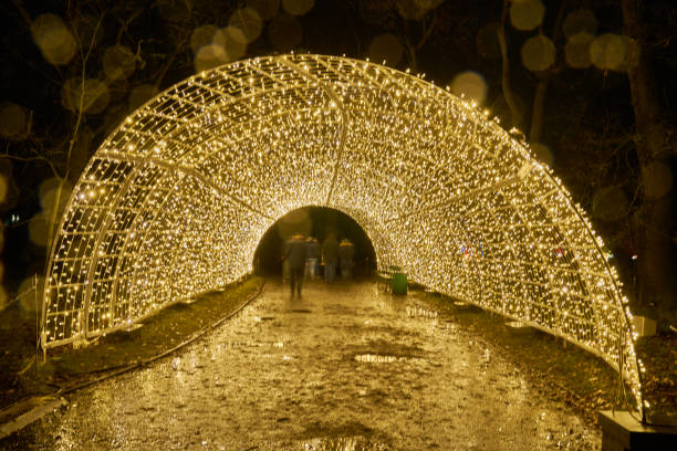 istock Christmas Garden - Botanical Garden Berlin 898342786