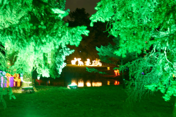 istock Christmas Garden - Botanical Garden Berlin 898342808