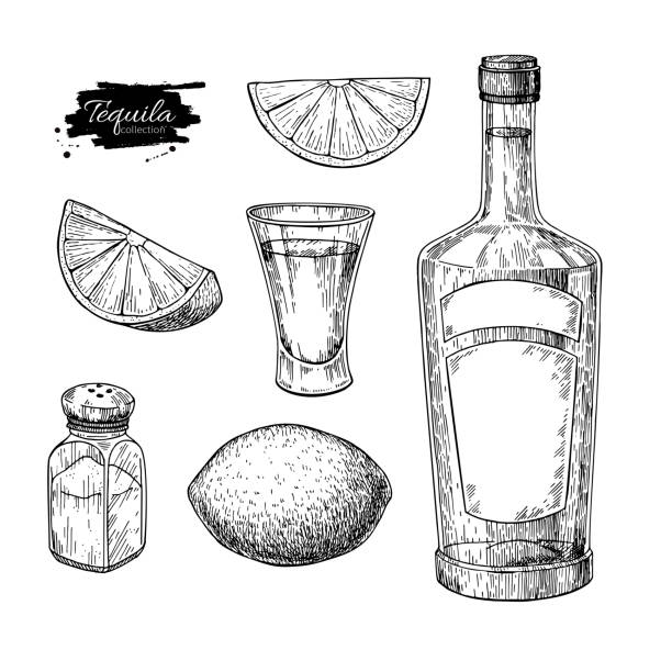 ilustraciones, imágenes clip art, dibujos animados e iconos de stock de botella de tequila, coctelera de sal y vaso con cal. dibujo vectorial de bebida de alcohol mexicano - croquis ilustraciones