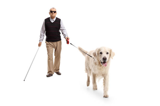istock Blind mature man walking with a stick and a dog 898342936