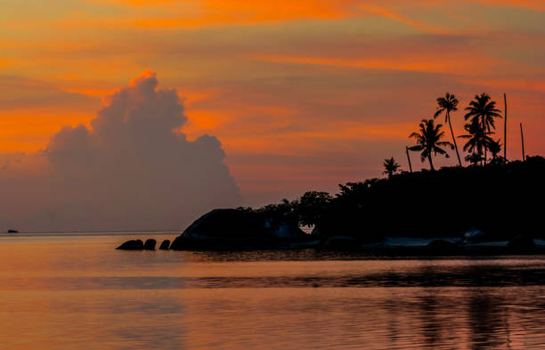 istock SILHOUETTE ISLAND CAPE WITH COCONUT PALM TREES DRAMATIC TWILIGHT EVENING SKY CLOUD 898342950