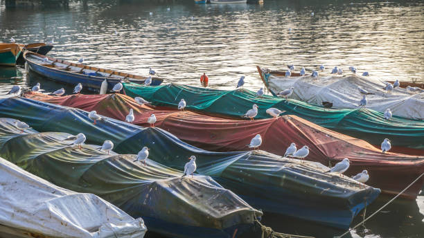istock Boats docked in Richmond, London 898344892